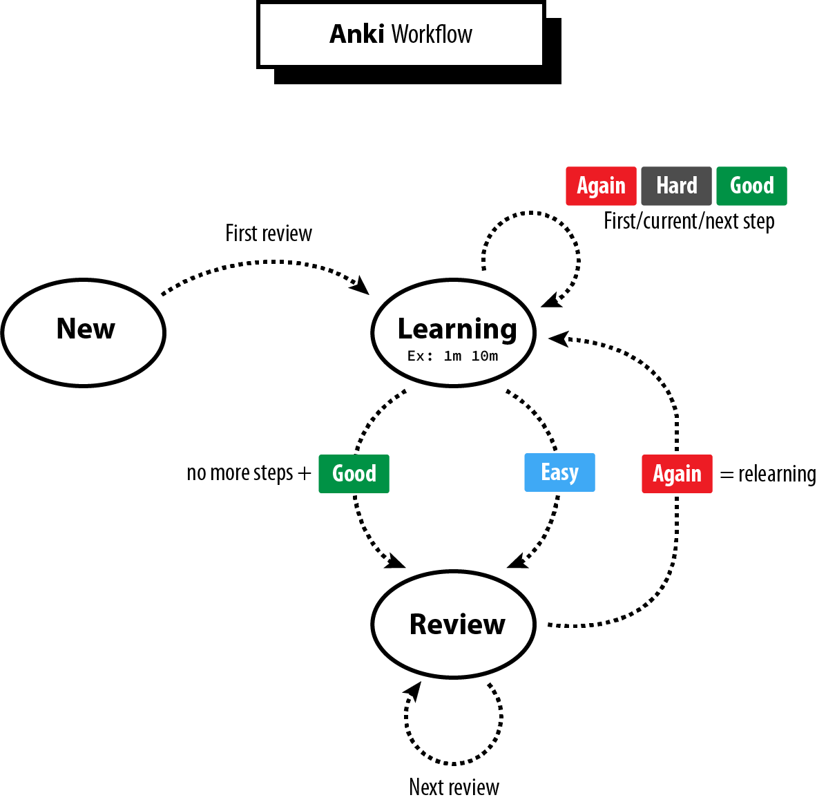 anki workflow